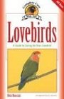 Lovebirds A Guide to Caring for Your Lovebird