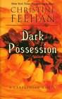 Dark Possession (Carpathians (Dark), Bk 15) (Large Print)