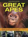 Exploring Nature Great Apes Discover the exciting world of chimps gorillas orangutans bonobos and more with over 200 pictures
