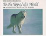 To the Top of the World  Adventures with Arctic Wolves