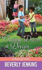Chasing Down a Dream