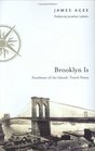 Brooklyn Is Southeast of the Island Travel Notes