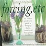 Forcing Etc the indoor gardener's guide to bringing bulbs branches  houseplants into bloom