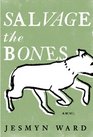 Salvage the Bones