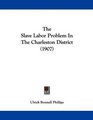 The Slave Labor Problem In The Charleston District