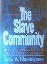 The Slave Community Plantation Life in the Antebellum South