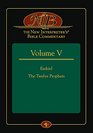 The New Interpreter's Bible Commentary Volume V Ezekiel The Twelve Prophets