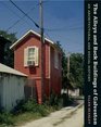 The Alleys and Back Buildings of Galveston: An Architectural and Social History (Sara and John Lindsey Series in the Arts and Humanities)