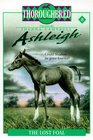 The Lost Foal (Thoroughbred: Ashleigh, Bk 8)