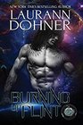 Burning Up Flint (Cyborg Seduction) (Volume 1)