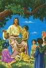 KJV Children's Rainbow Bible (Childrens 603n)