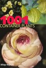 1001 Container Plants