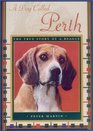 A Dog Called Perth The True Story of a Beagle