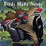 Birds Make Nests