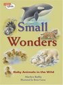 Small Wonders Baby Animals in the Wild