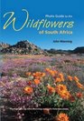 Photo Guide to the Wildflowers of South Africa Revised Edition