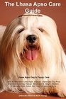 Lhasa Apso Care Guide Lhasa Apso Dog  Puppy Care Facts  Information Lhasa Apso Puppies Lhasa Apso Dog Price Breeders Grooming Rescue  Size Colors Diet Cost Pictures and More