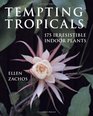 Tempting Tropicals 175 Irresistible Indoor Plants
