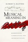 Musical Meaning in Beethoven Markedness Correlation and Interpretation