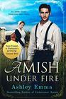 Amish Under Fire