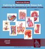 Interactions Exploring the Functions of the Human Body  Distribution The Cardiovascular and Lymphatic Systems
