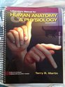 Human Anatomy  Physiology Cat Version