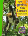How Monkeys Make Chocolate Foods and Medicines from the Rainforests