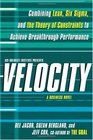 Velocity Combining Lean Six Sigma and the Theory of Constraints to Achieve Breakthrough Performance  A Business Novel