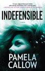 Indefensible (Kate Lange, Bk 2)