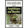 A Guide to Amphibians and Reptiles
