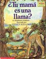 Tu Mama Es Una Llama