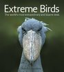 Extreme Birds The World's Most Extraordinary and Bizarre Birds