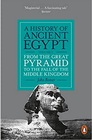 A History of Ancient Egypt Volume 2 From the Great Pyramid to the Fall of the Middle Kingdom