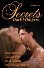 Secrets Vol 22 Dark Whispers