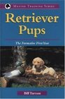 Retriever Pups The Formative First Year