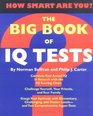 The Big Book of IQ Tests