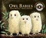 Owl Babies Candlewick Storybook Animations