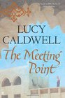 The Meeting Point. Lucy Caldwell