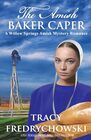 The Amish Baker Caper (Willow Springs Amish Mystery, Bk 2)