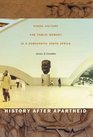 History After Apartheid Visual Culture and Public Memory in a Democratic South Africa