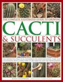 The Complete Illustrated Guide to Growing Cacti  Succulents