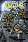 Teenage Mutant Ninja Turtles New Animated Adventures Volume 3