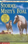 Stormy Misty's Foal
