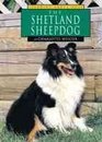 The Shetland Sheepdog