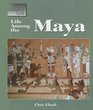 The Way People Live  Life Among the Maya