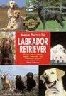 Manual practico del Labrador Retriever / Practical Manual of the Labrador Retriever