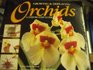 Growing  Displaying Orchids A StepByStep Guide