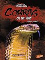 Cobras On the Hunt
