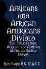 Africans and African Americans DividedThe MaleFemale African and African American Digital Divide