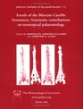 Special Papers in Palaeontology Fossils of  the Miocene Castillo Formation Venezuela Contributions in Neotropical Palaeontology